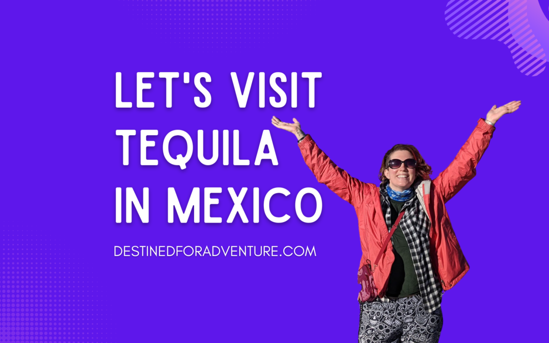 Discover How Tequila Is Made In Tequila, Mexico