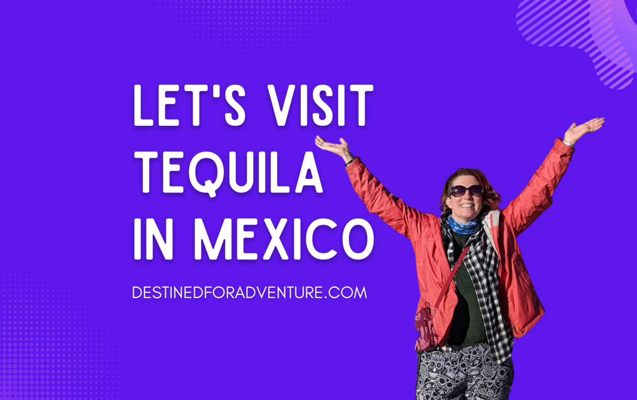 Discover How Tequila Is Made In Tequila, Mexico Destined For Adventure