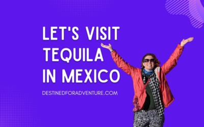 Discover How Tequila Is Made In Tequila, Mexico