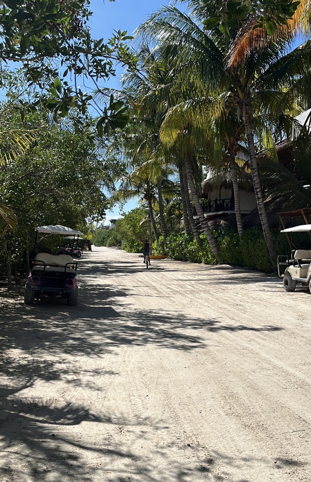diana biking holbox