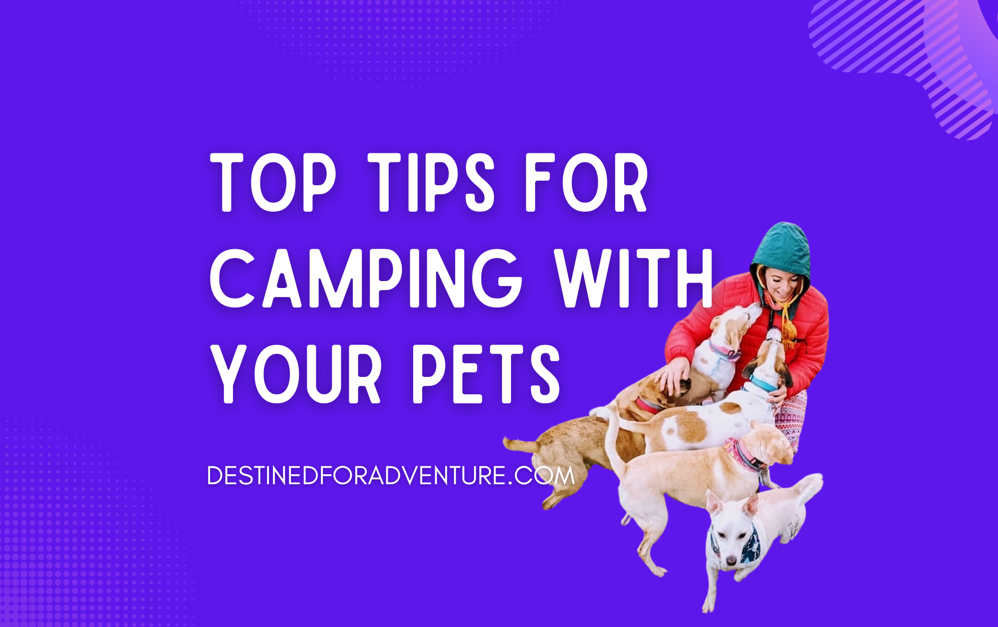 camping with pets