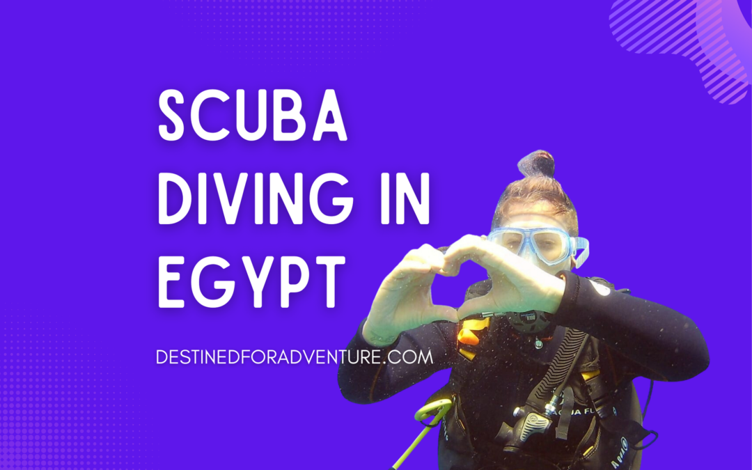 My First Time Scuba Diving in Egypt
