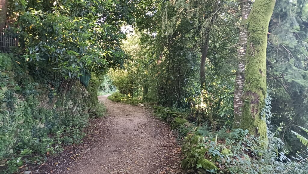 hiking trail Camino de Santiago 