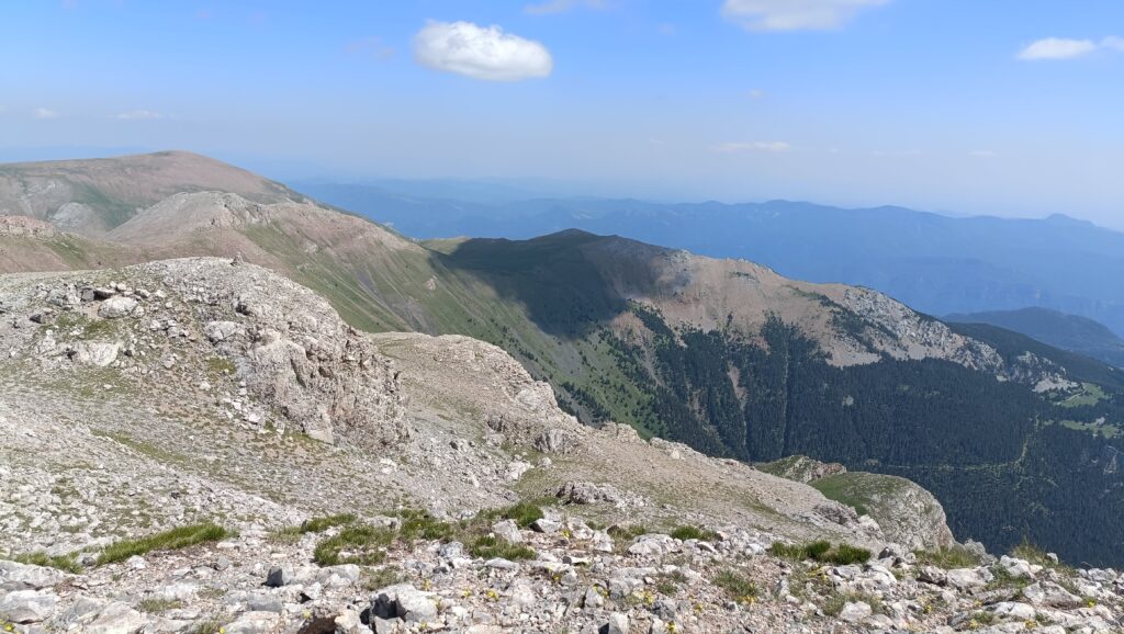 View from the top of Tossa d'Alp