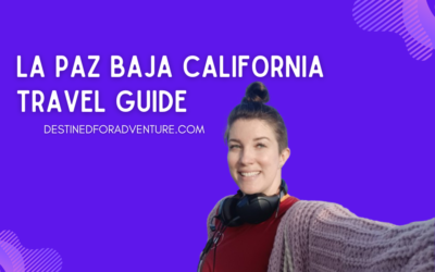 La Paz Baja California Travel Guide: Scuba Diving, Día de los Muertos, and Adventure