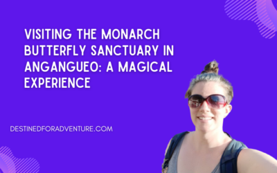 Visiting the Monarch Butterfly Sanctuary in Angangueo: A Magical Experience