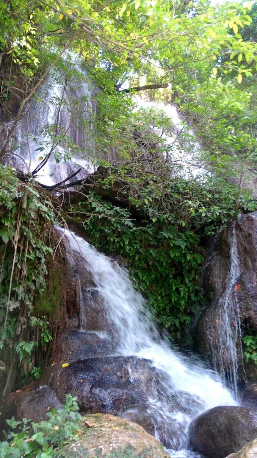 Waterfall flowing through lush jungle in La Huasteca Potosina
