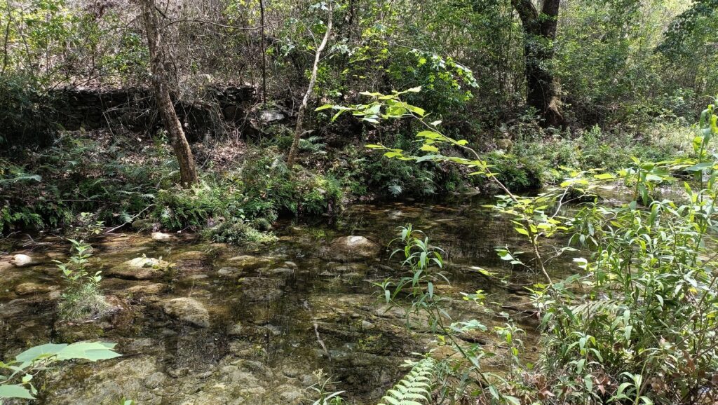 River in La Sierra Gorda