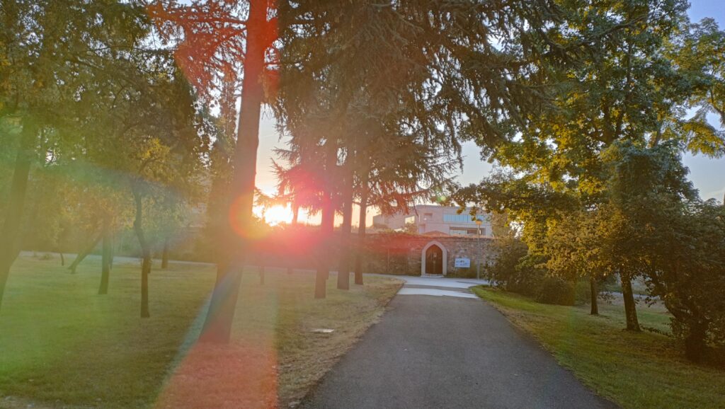 corridor with trees around