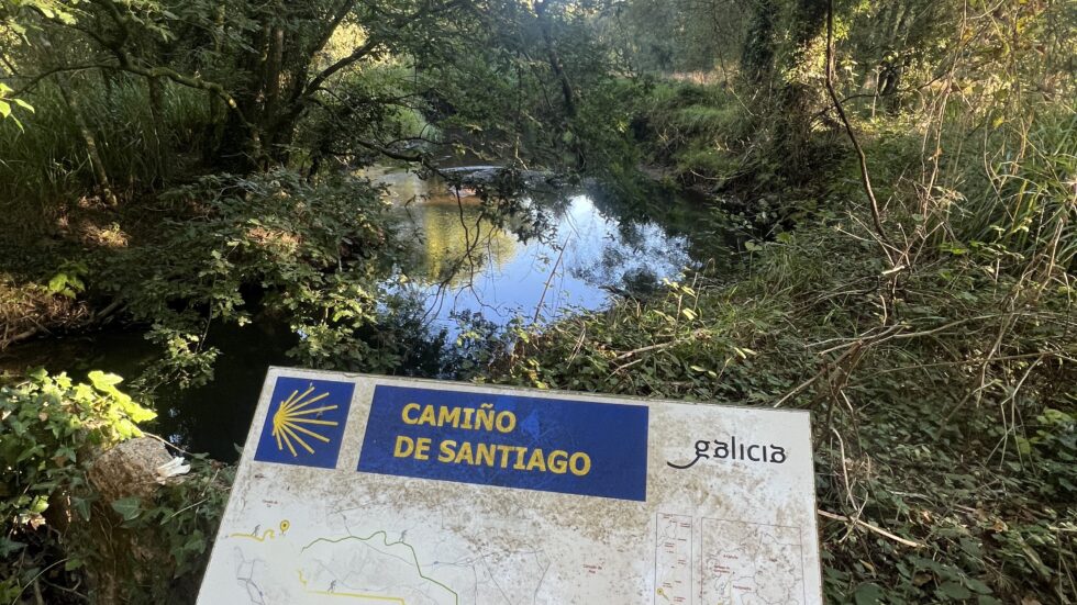 Camino de Santiago route sign beside a forest stream