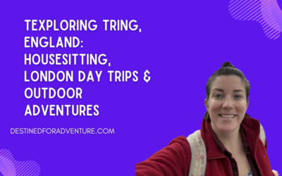 Exploring Tring, England: Housesitting, London Day Trips & Outdoor Adventures