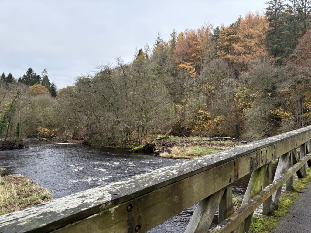 Hamilton Scotland Travel Guide: A cozy cat-sit trip with tips on what to see, eat, pack, and expect—parks, scones, and fall weather.