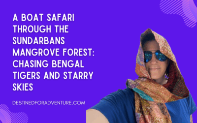 A Boat Safari Through the Sundarbans Mangrove Forest: Chasing Bengal Tigers and Starry Skies