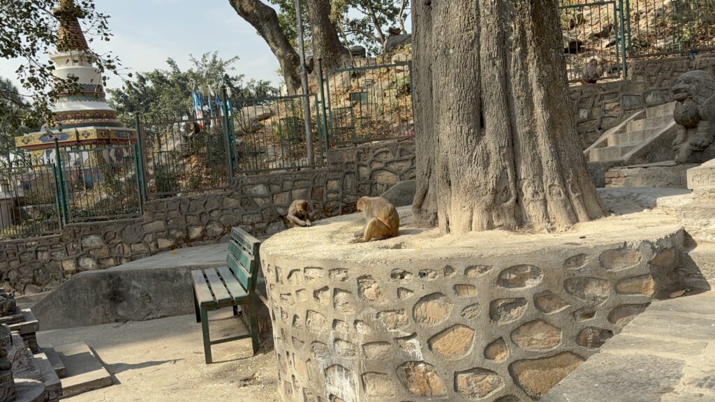 Kathmandu travel experience