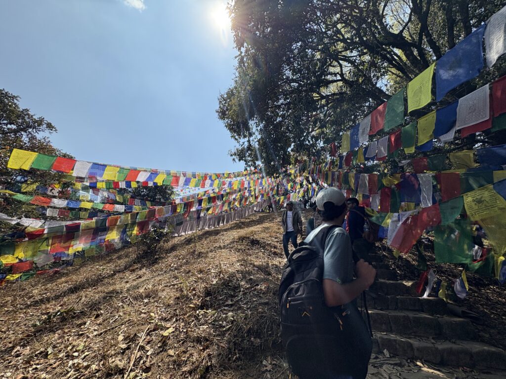 Nagarjun National Park day hike