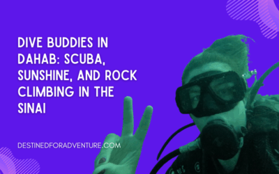 Dive Buddies in Dahab: Scuba, Sunshine, and Rock Climbing in the Sinai