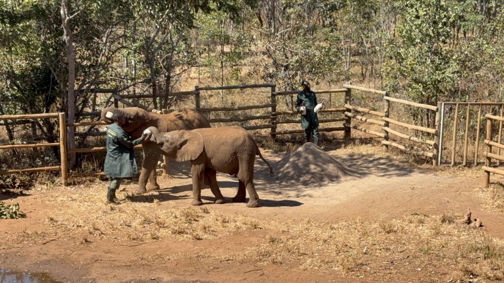 Lusaka Zambia digital nomad medical tourism