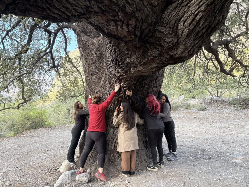 digital nomad life in Mexico