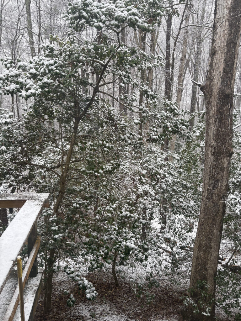 remote work during family crisis