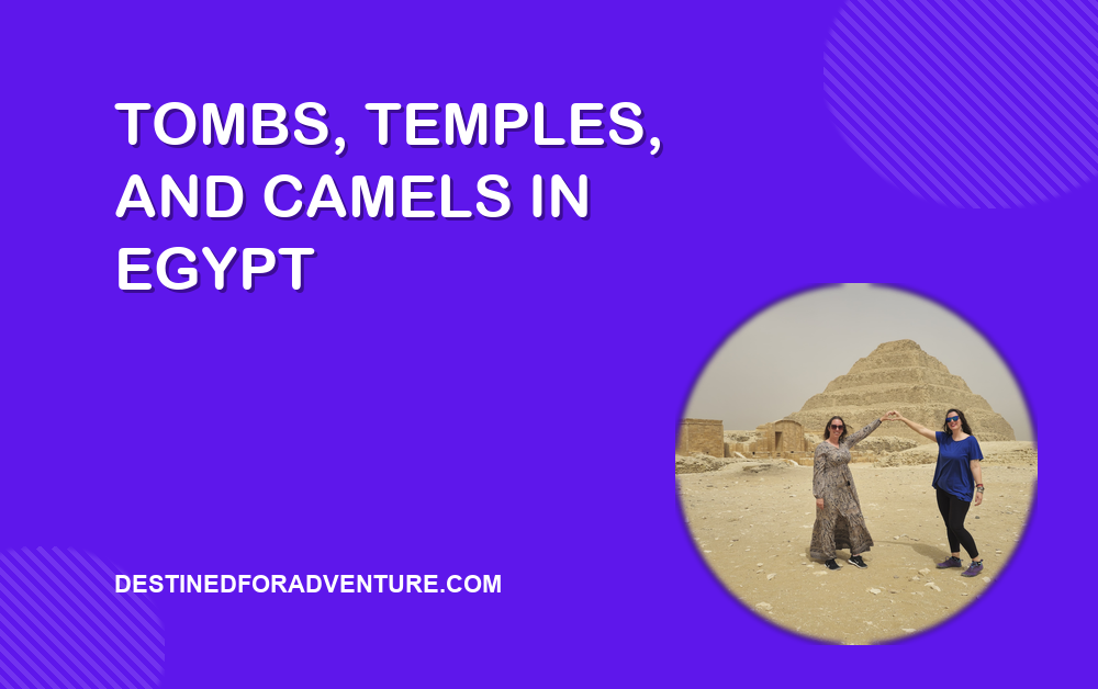 Tombs, Temples, and Camels: Two Days Exploring Ancient Egypt with a Modern Twist