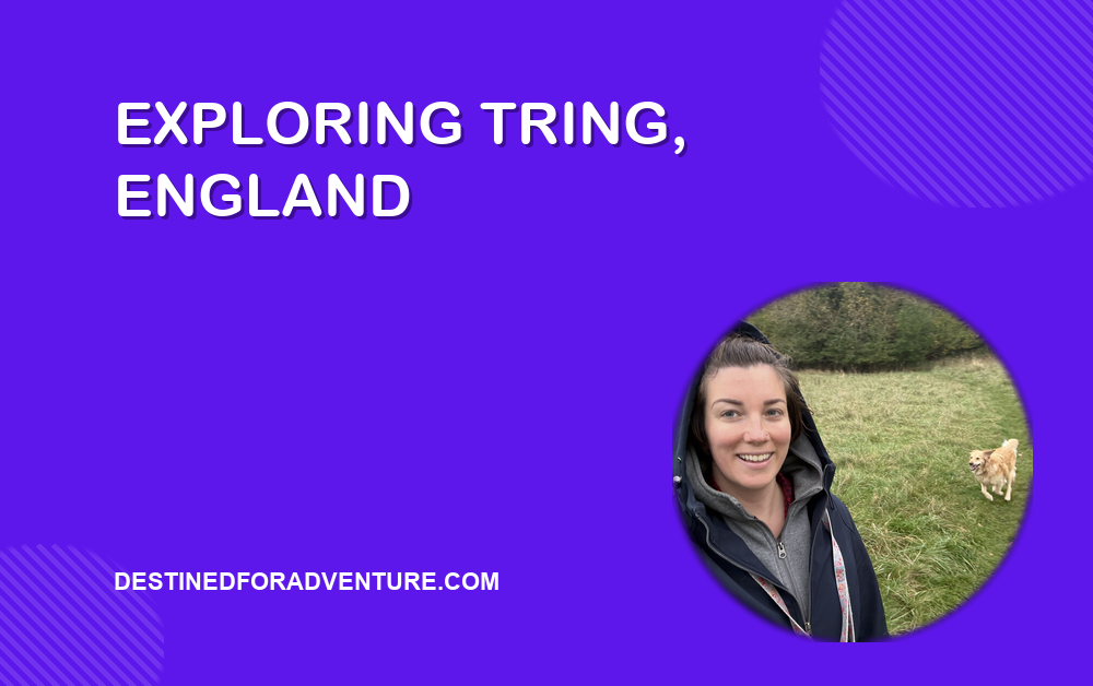 Exploring Tring, England: Housesitting, London Day Trips & Outdoor Adventures