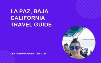 La Paz Baja California Travel Guide: Scuba Diving, Día de los Muertos, and Adventure