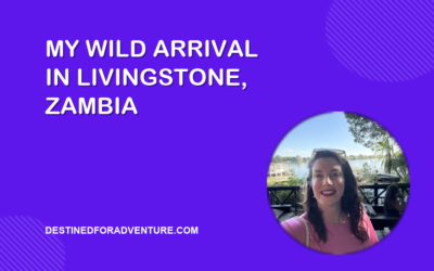 From Chaos to Calm: My Wild Arrival and Magical Week in Livingstone, Zambia