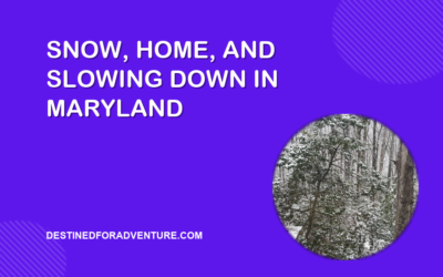 Snow, Home, and Slowing Down: A Different Kind of Update from Maryland
