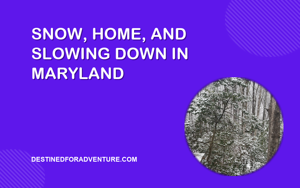 Snow, Home, and Slowing Down: A Different Kind of Update from Maryland