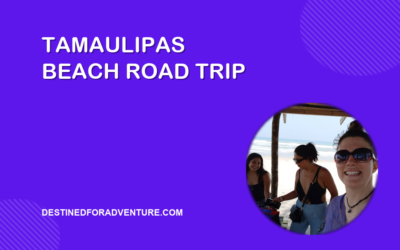 Tamaulipas Beach Road Trip: Explore Playa del Tordo, Cenotes, and Hidden Gems Near Monterrey