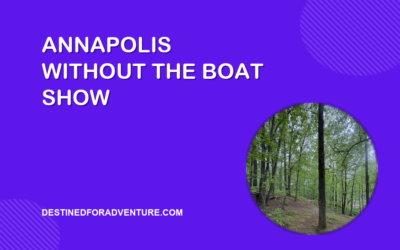 Annapolis Without the Boat Show: A Rec Center Pass, a Free Park, and the In Between Days