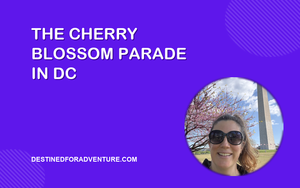 blog-design-destined-for-adventure-cherry-blossom-parade-dc The Cherry Blossom Parade in DC, Destined for Adventure blog cover