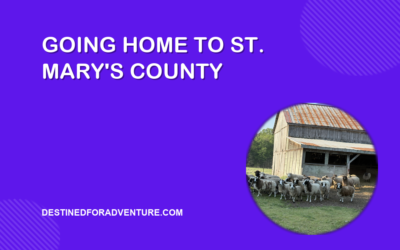 Going Home to St. Mary’s County: Leonardtown, a Family Farm, and a Spring I Did Not Plan For