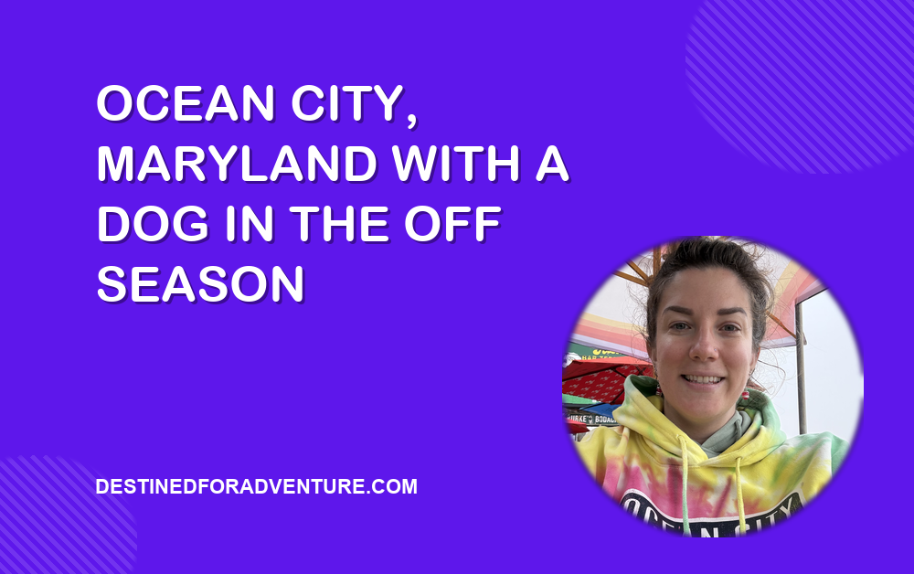 Blog cover reading Ocean City, Maryland With a Dog in the Off Season, with a photo of Hannah in an Ocean City hoodie
