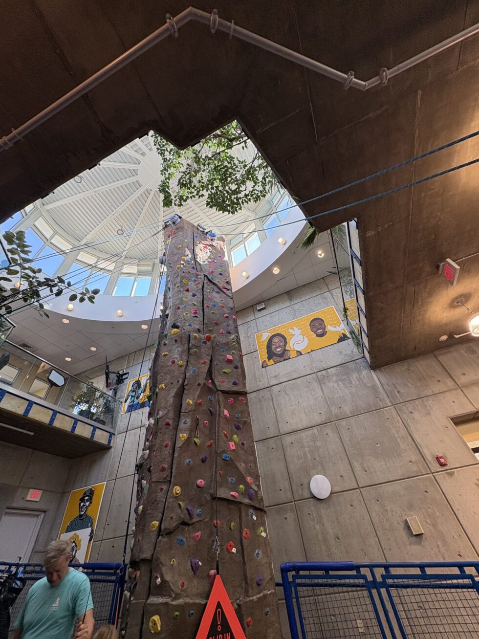 The view down the 30 foot climbing wall to the gym floor.