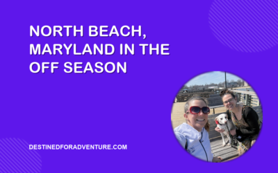 North Beach, Maryland in the Off Season: Empty Boardwalks, Shark Teeth, and a Dog on the Sand