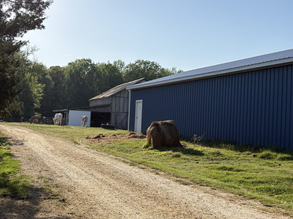 A dirt farm lane running past a blue metal barn and a round hay bale.