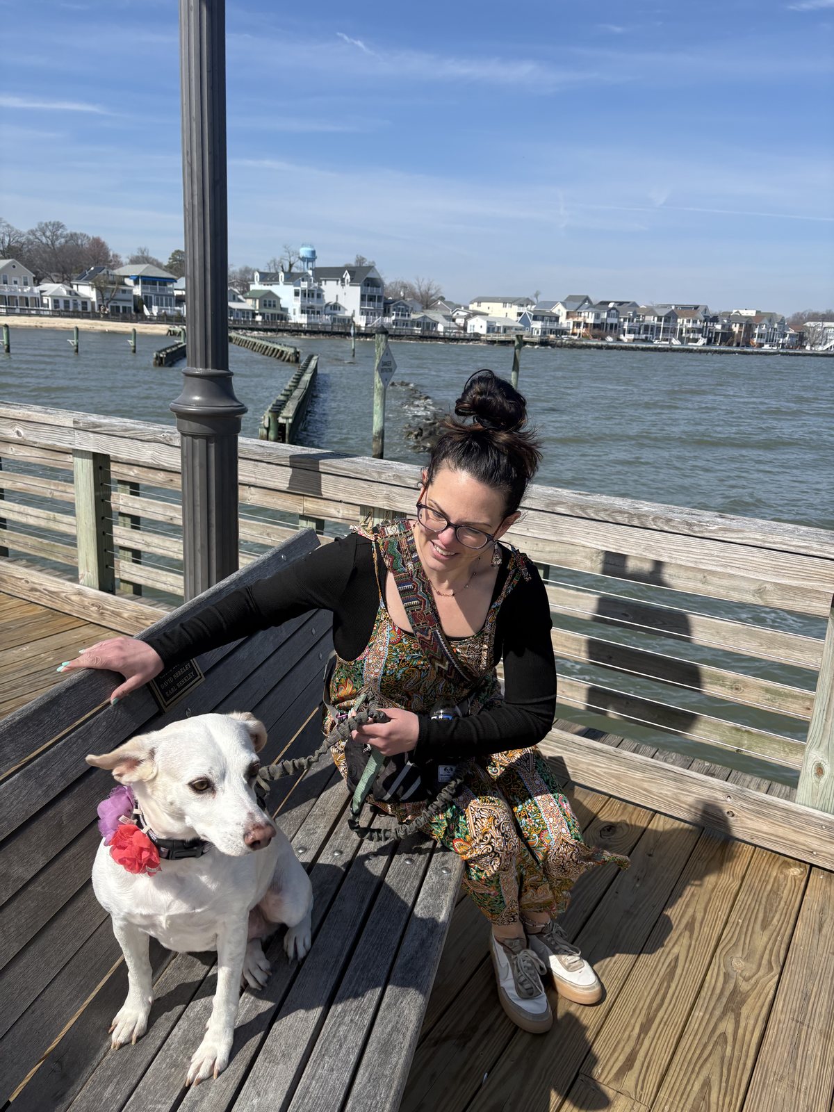 A small white dog on the North Beach boardwalk with the Chesapeake Bay marina behind