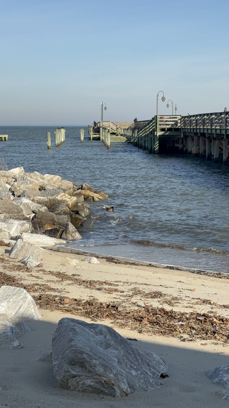The North Beach fishing pier and rock breakwater seen from the empty sand