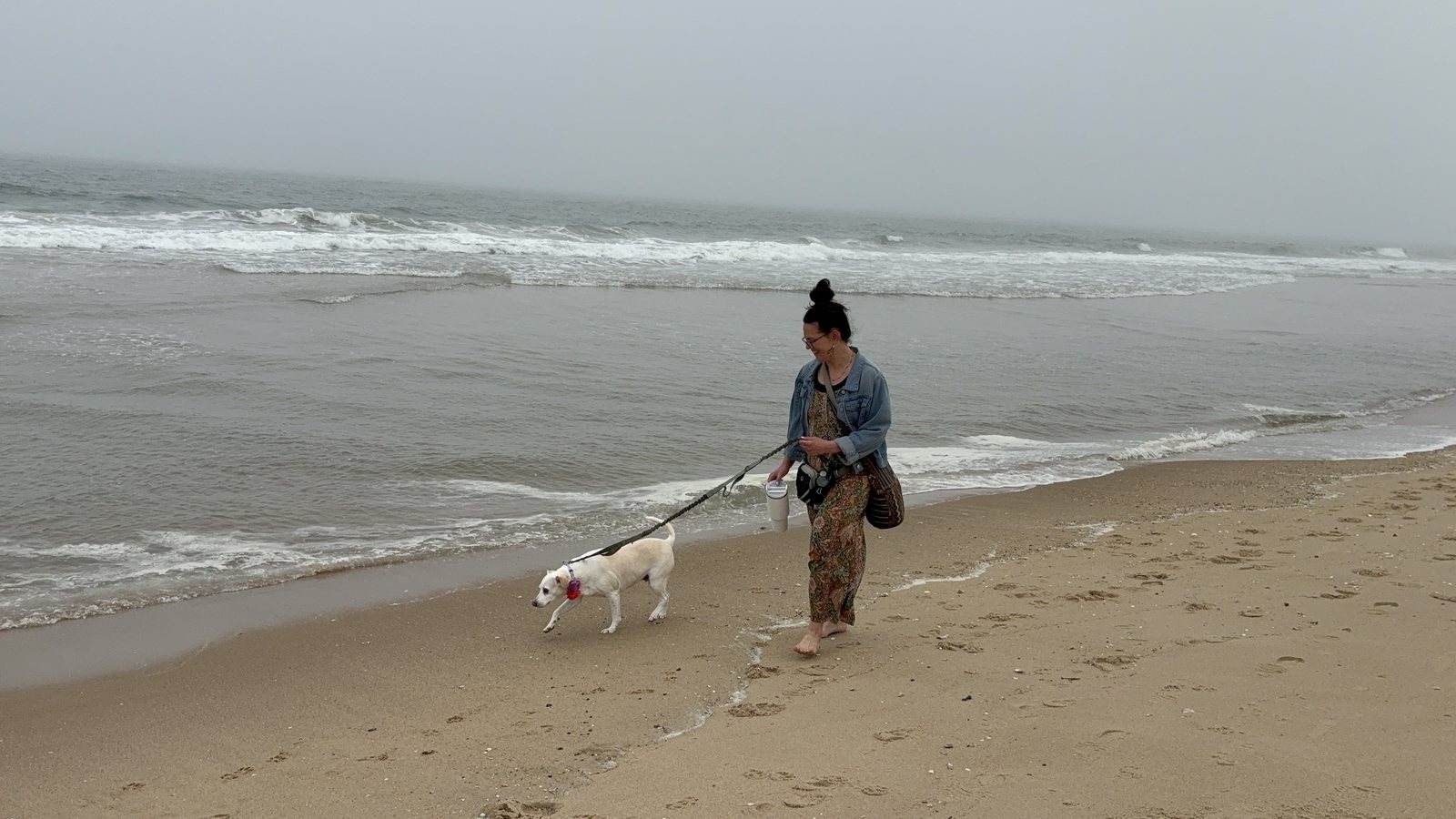 A woman and a white dog at the waterline with fog hiding the horizon