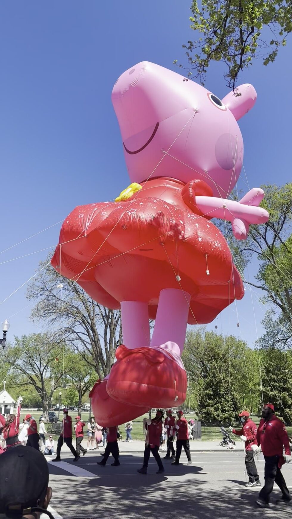 A giant Peppa Pig balloon in a red dress floating over Constitution Avenue