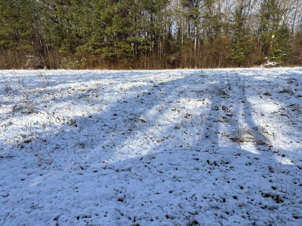A snow covered field at the edge of bare woods.