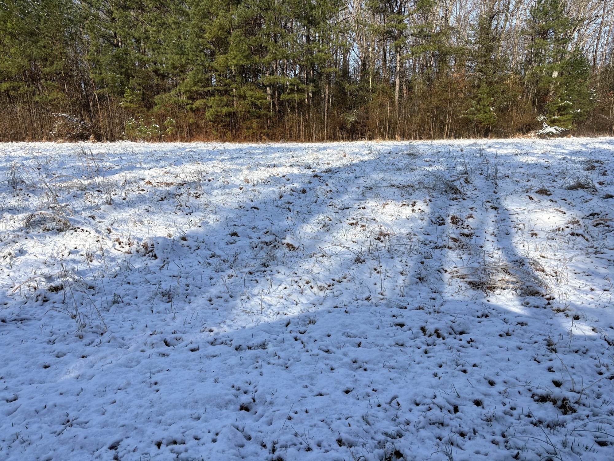 A snow covered field at the edge of bare woods.