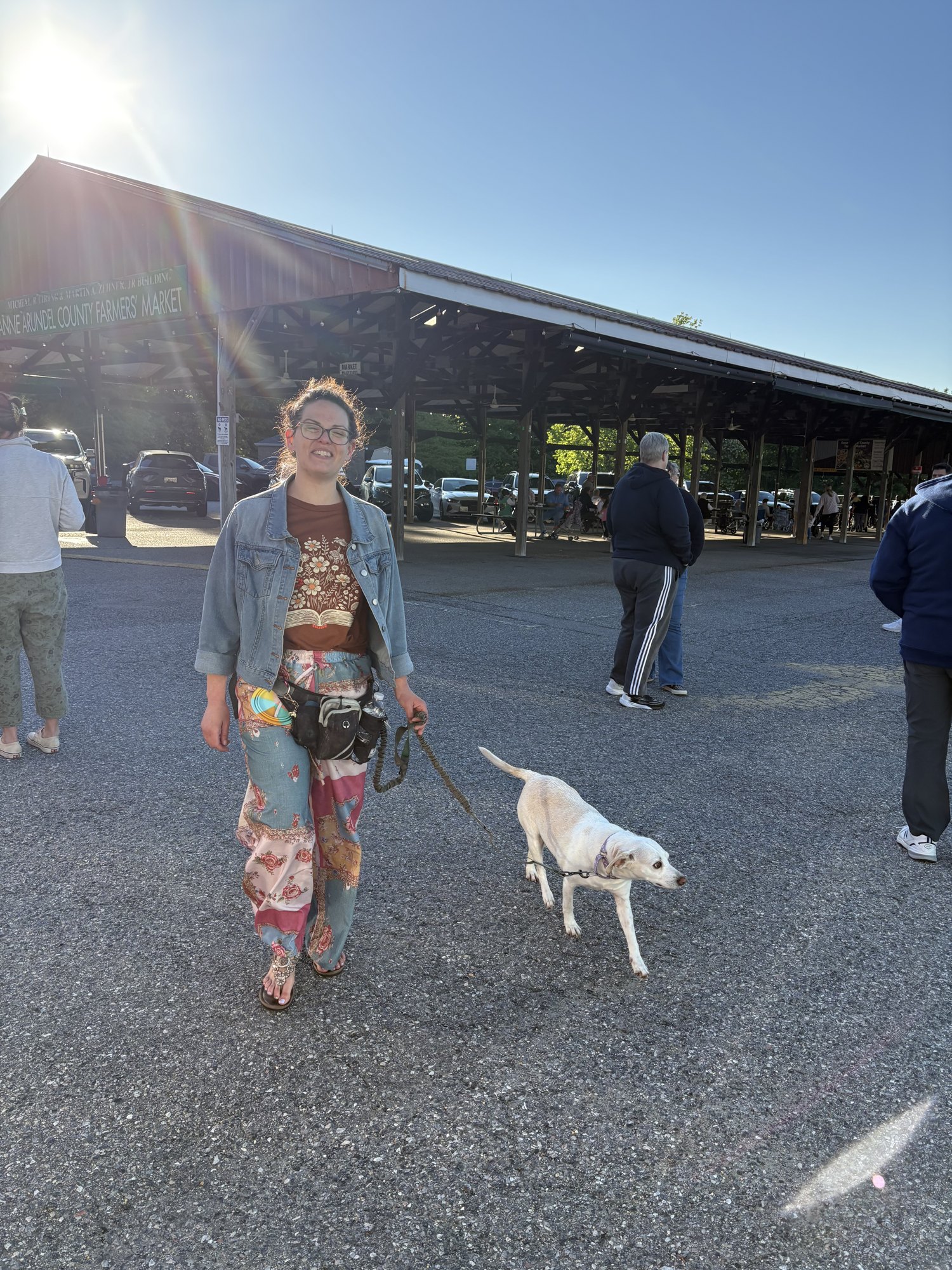 A woman walking a white dog across a grass field on a spring evening.