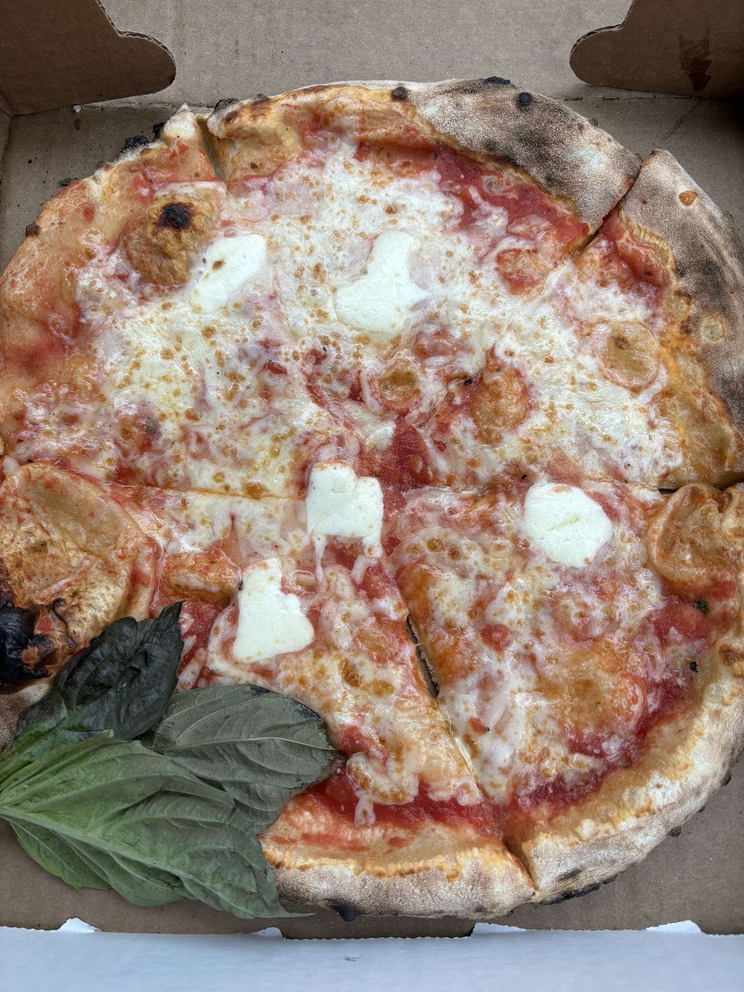 A wood-fired margherita pizza on a paper plate.